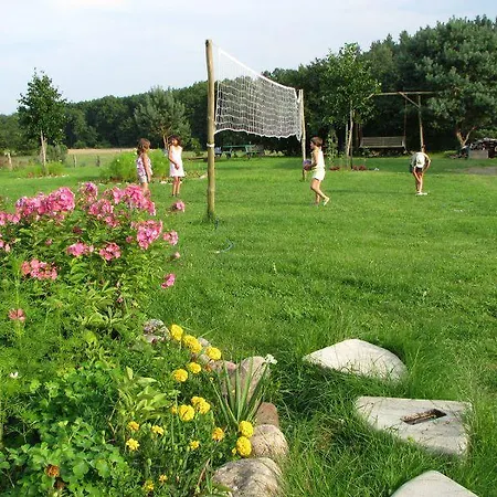 Sosenka Wąglikowice